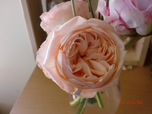 a0279990_1184082.jpg
