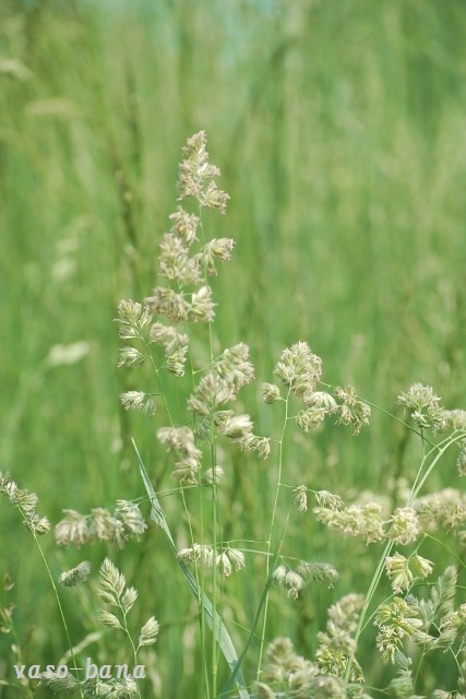 e0025300_12133225.jpg