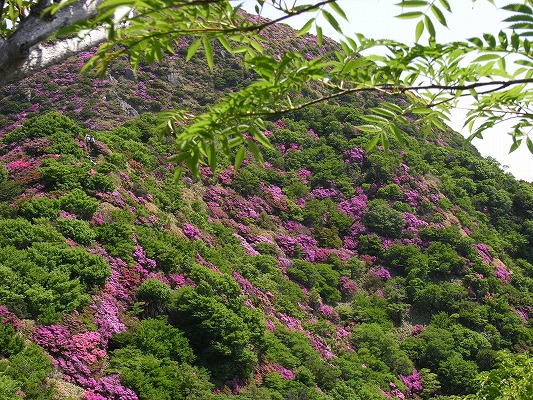 f0187402_2116094.jpg