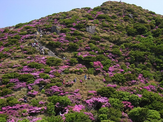 f0187402_21172543.jpg