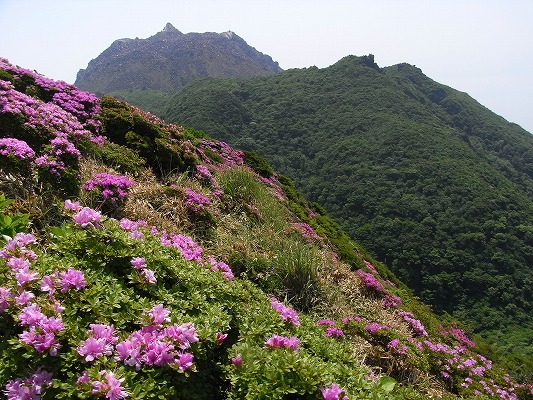 f0187402_21221333.jpg