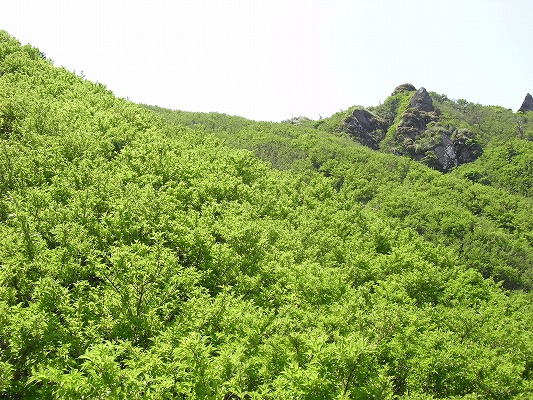 f0187402_2123929.jpg