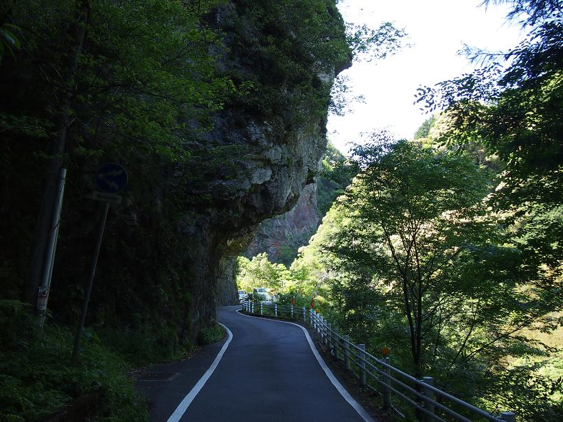 d0078203_21353552.jpg