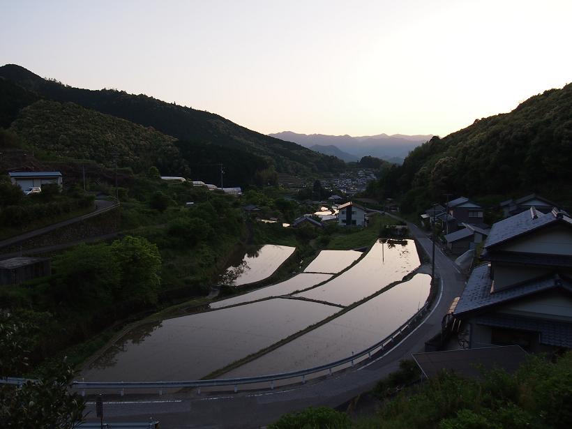 d0078203_22998.jpg