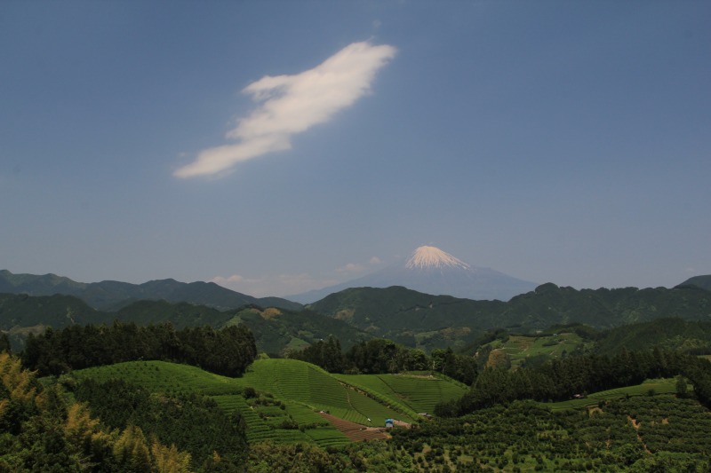 a0188405_19541232.jpg