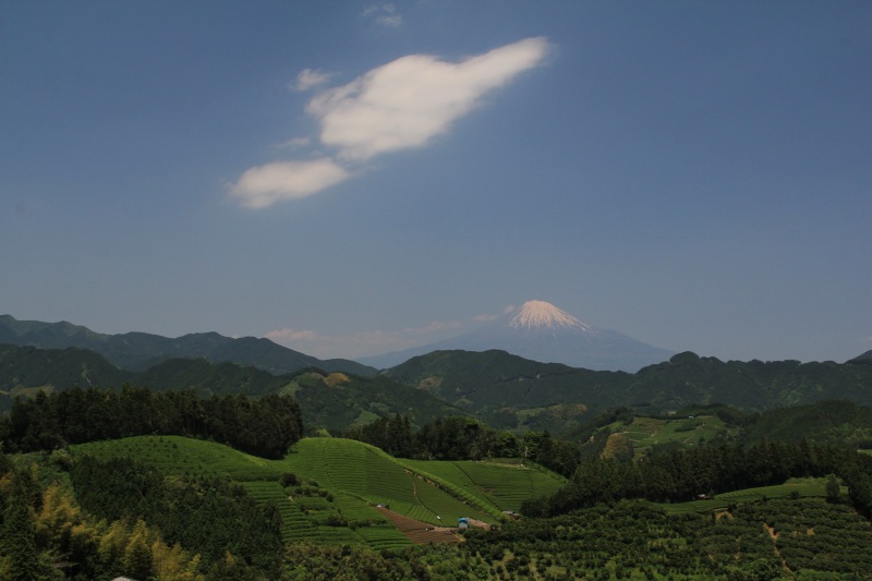 a0188405_1955254.jpg