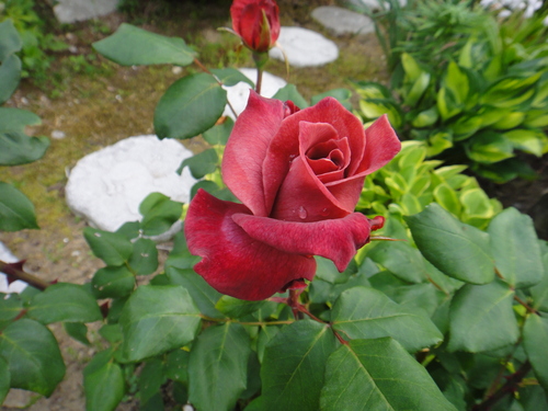 c0105306_2115189.jpg