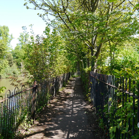 d0254707_2495359.jpg