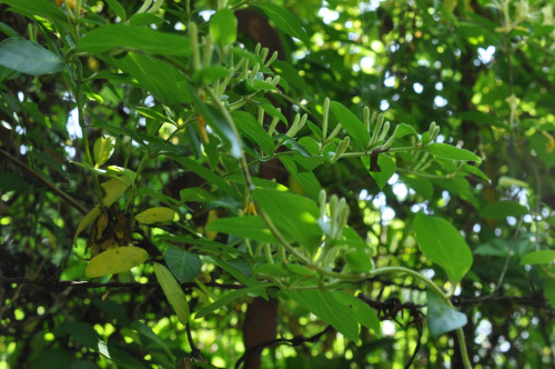f0188408_1775385.jpg