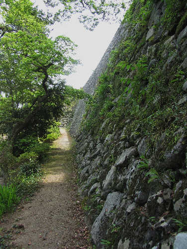 d0154609_10461022.jpg
