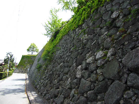 d0154609_10462512.jpg