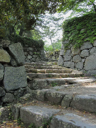 d0154609_10473125.jpg
