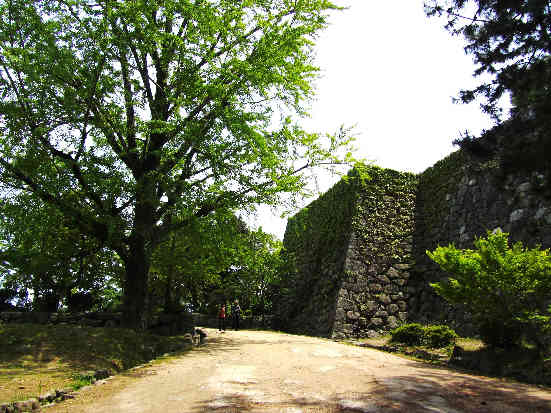 d0154609_1047337.jpg