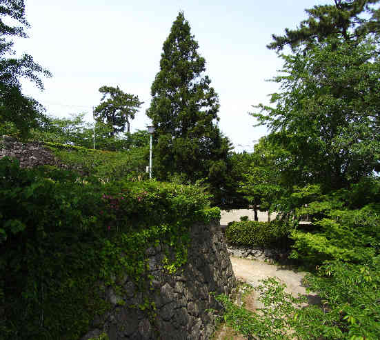 d0154609_1048938.jpg