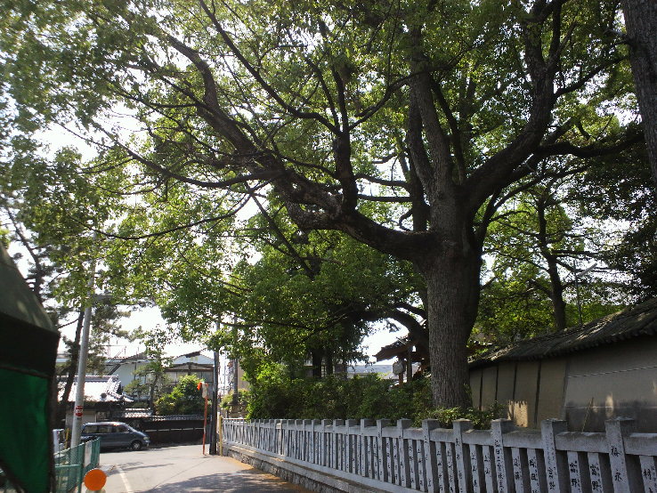 f0127610_17422476.jpg