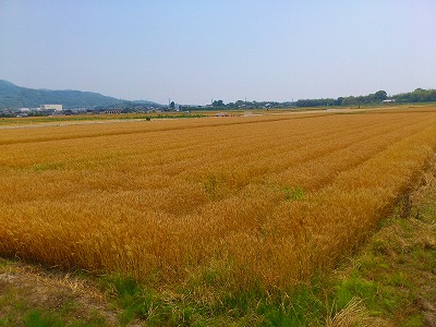 f0100911_22264751.jpg