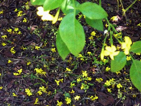 d0113613_11402166.jpg