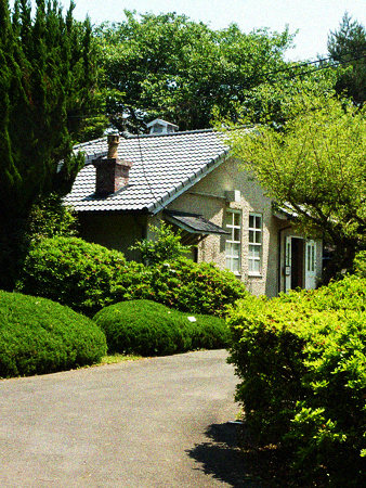 d0113613_11423938.jpg