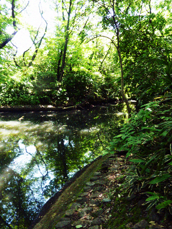 d0113613_1254885.jpg
