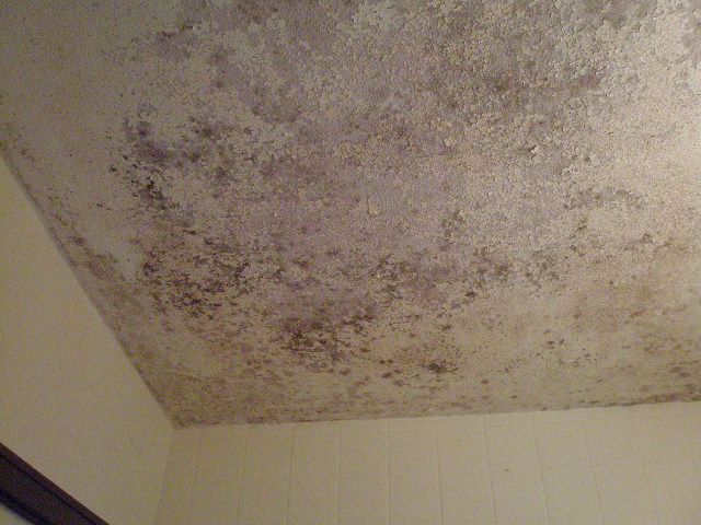 d0240514_14315538.jpg