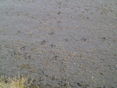 c0227720_22435776.jpg