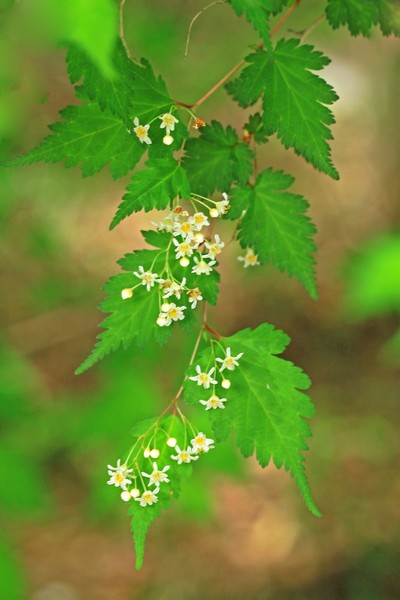 c0104227_144366.jpg