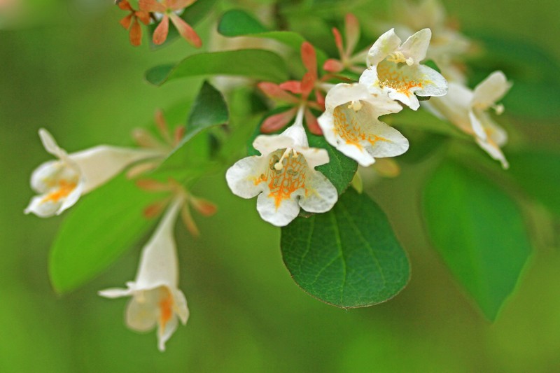 c0104227_151242.jpg