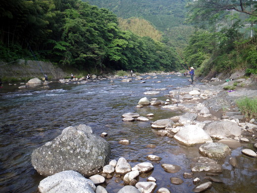d0172227_557579.jpg