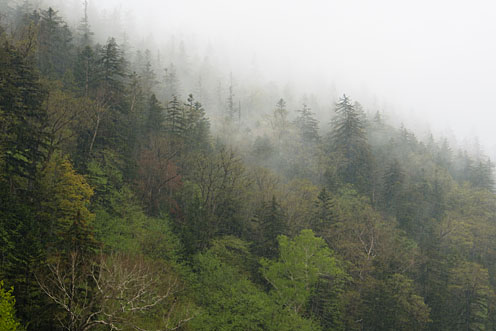 e0025030_1013244.jpg