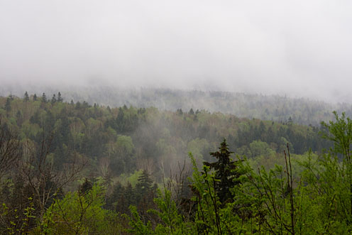 e0025030_1013570.jpg