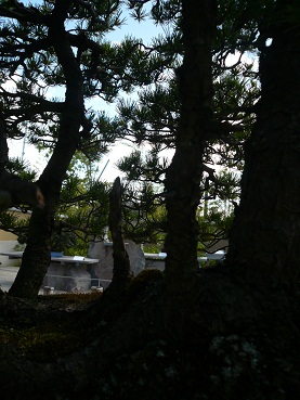 c0226331_2052747.jpg