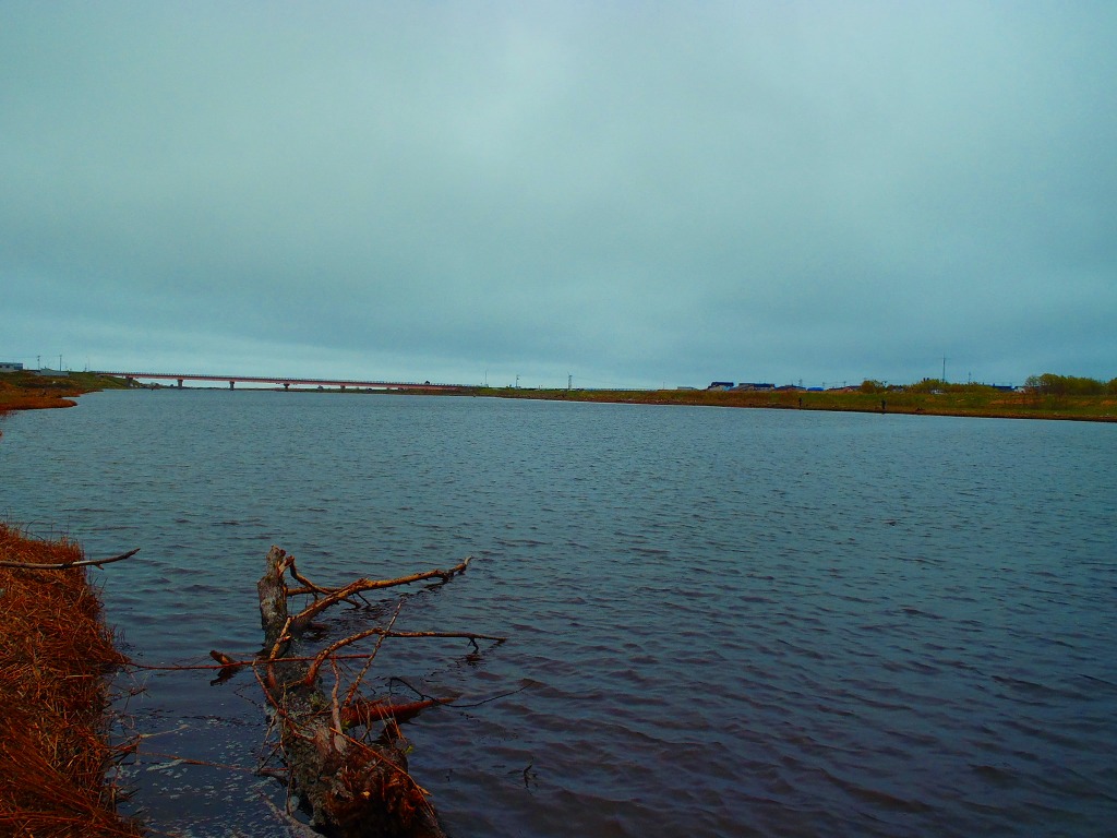 e0186633_21562493.jpg