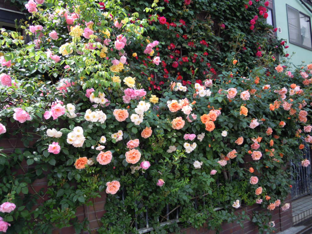 e0081334_2129073.jpg