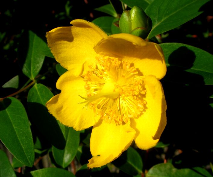 e0149934_2052057.jpg