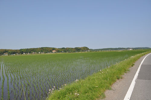 f0204440_23193943.jpg