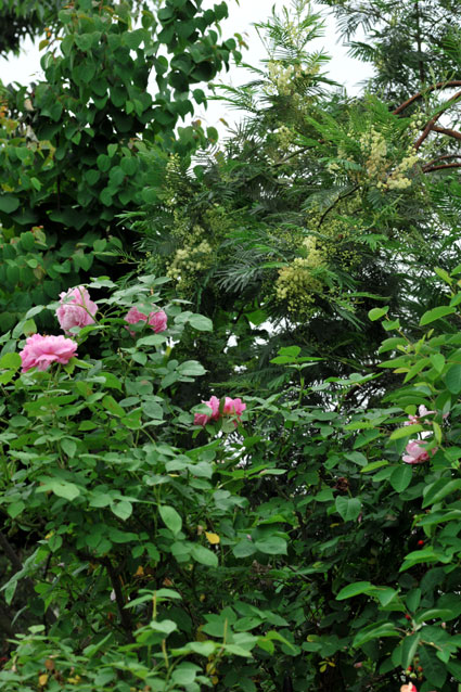 b0075541_22494381.jpg