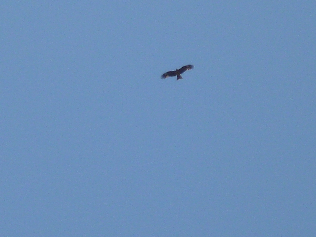 c0233141_13573933.jpg