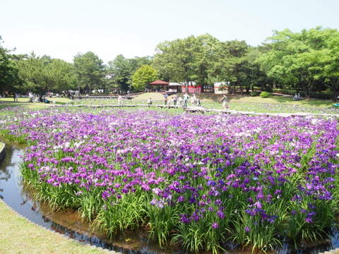 b0199742_21122490.jpg