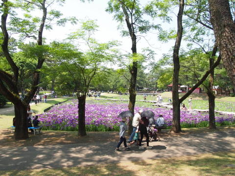 b0199742_2112569.jpg