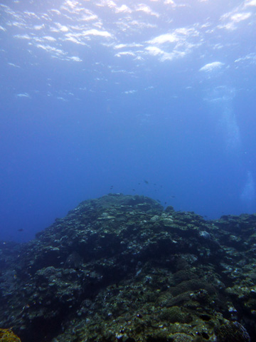 f0014842_1710183.jpg