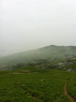 c0059543_947392.jpg