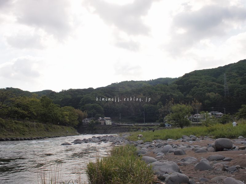 b0165444_753101.jpg