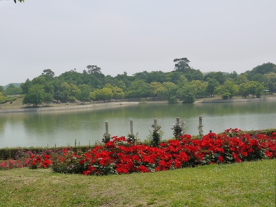 e0100046_16415096.jpg