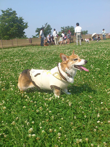 a0150850_225958.jpg