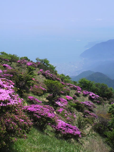 c0206352_19381425.jpg