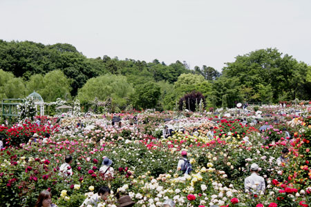 e0118654_17185068.jpg