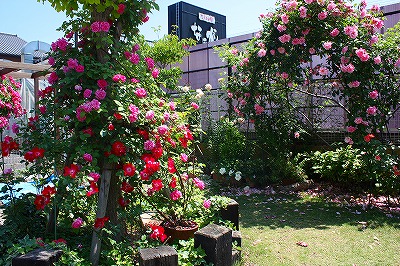 a0104162_22514399.jpg