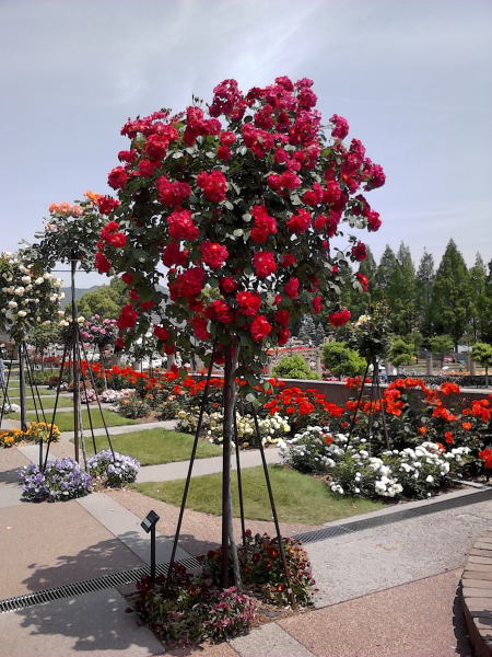 e0153367_15422196.jpg