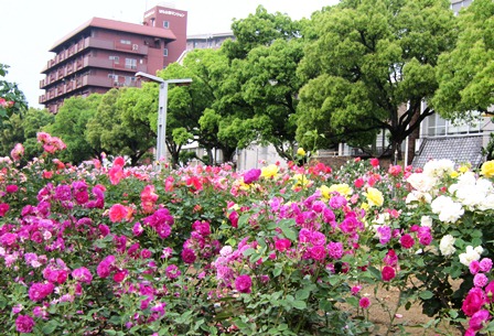 f0088569_9251073.jpg