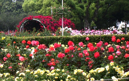f0088569_9265477.jpg
